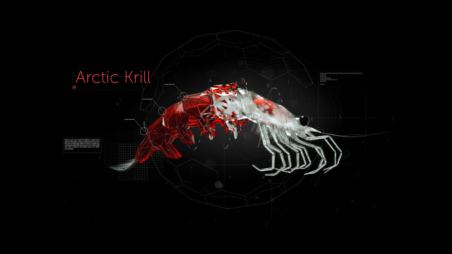 Krill